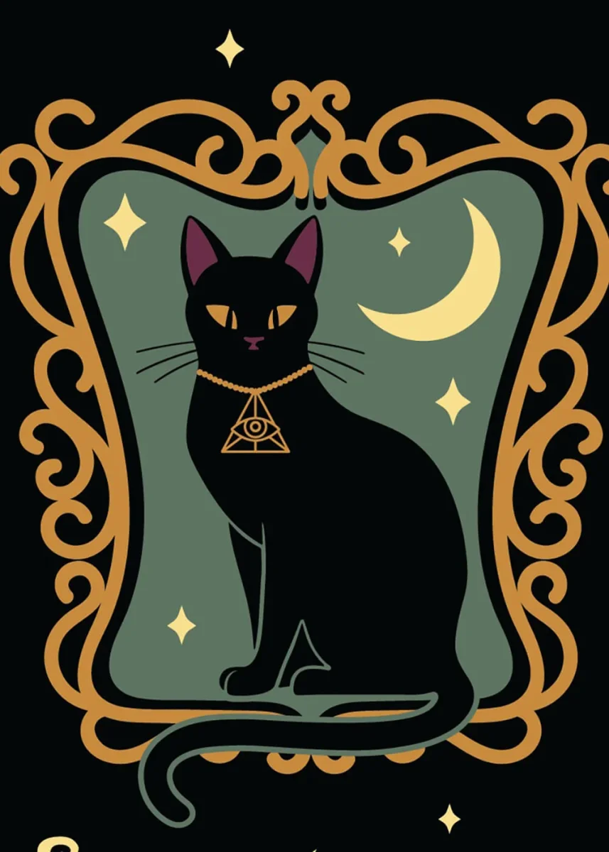 Footclothes Duchess Shadowfloof's Mew World Order Sokken - Billede 3
